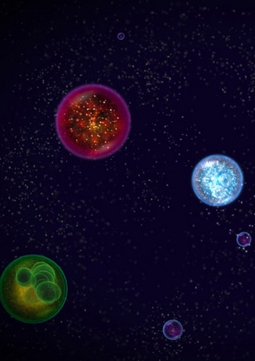 星噬
