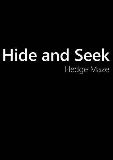 Hide and Seek