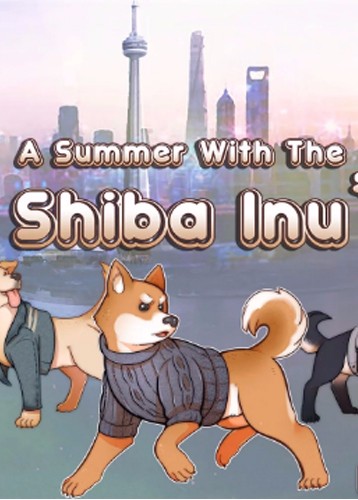与柴犬共度夏天