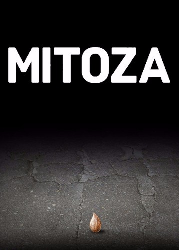 Mitoza