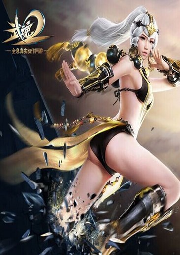 武魂2
