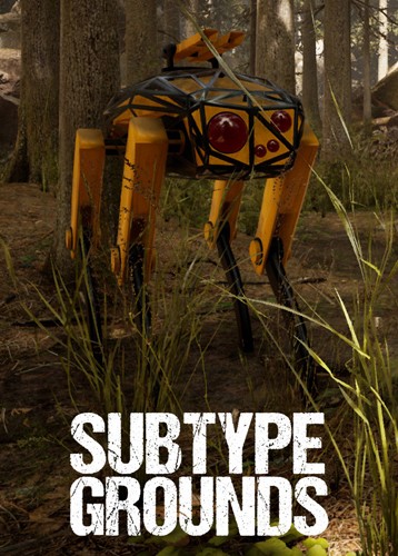 Subtype Grounds