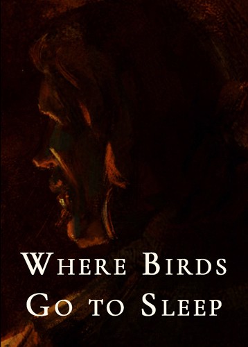 Where Birds Go to Sleep
