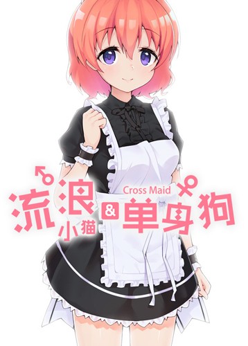 流浪小猫单身狗