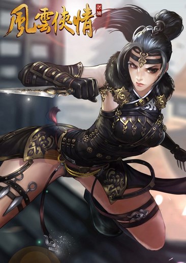 风云侠情
