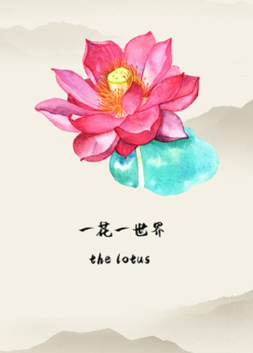 一花一世界
