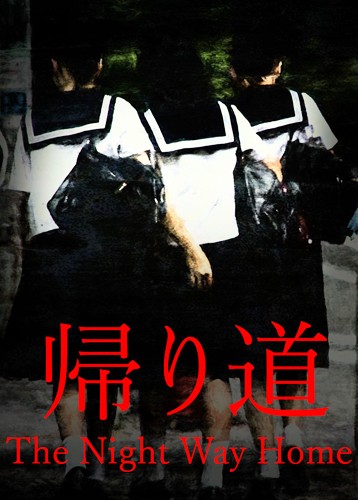 归家夜途
