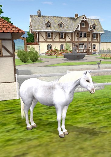 My Riding Stables: Life with Horses