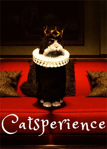 Catsperience