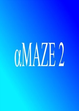 aMAZE 2