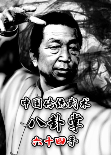 中国传统武术